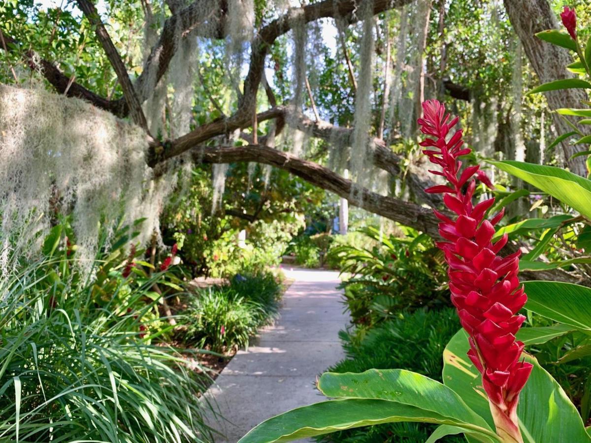 Leaward Isle Island Retreat Villa Key West Eksteriør billede