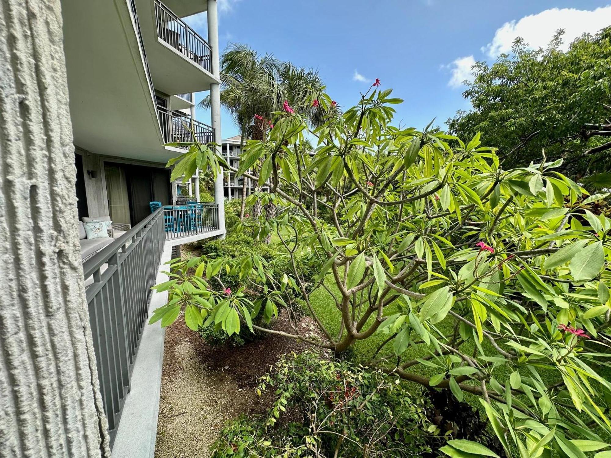 Leaward Isle Island Retreat Villa Key West Eksteriør billede